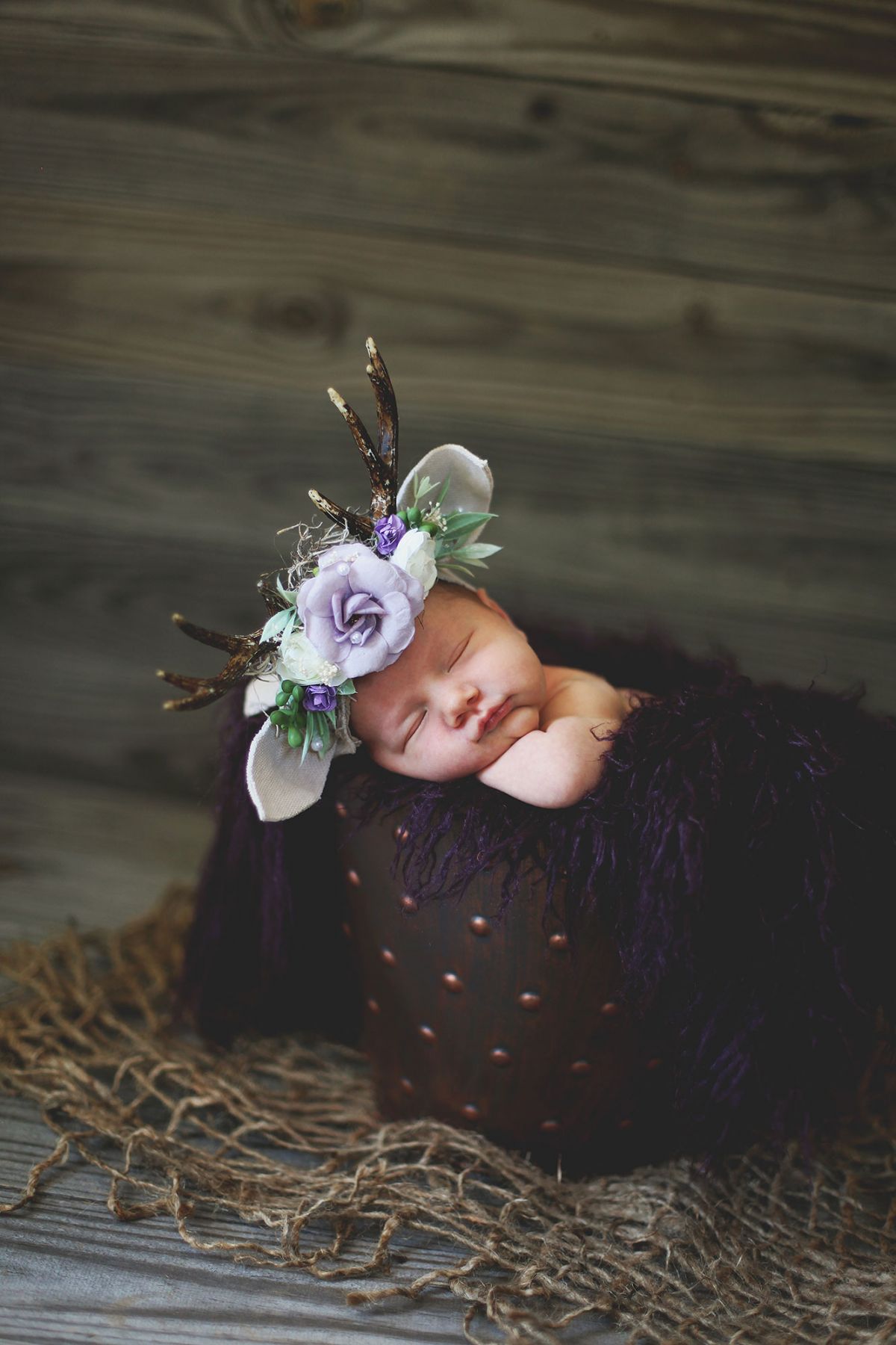 NewbornDeer