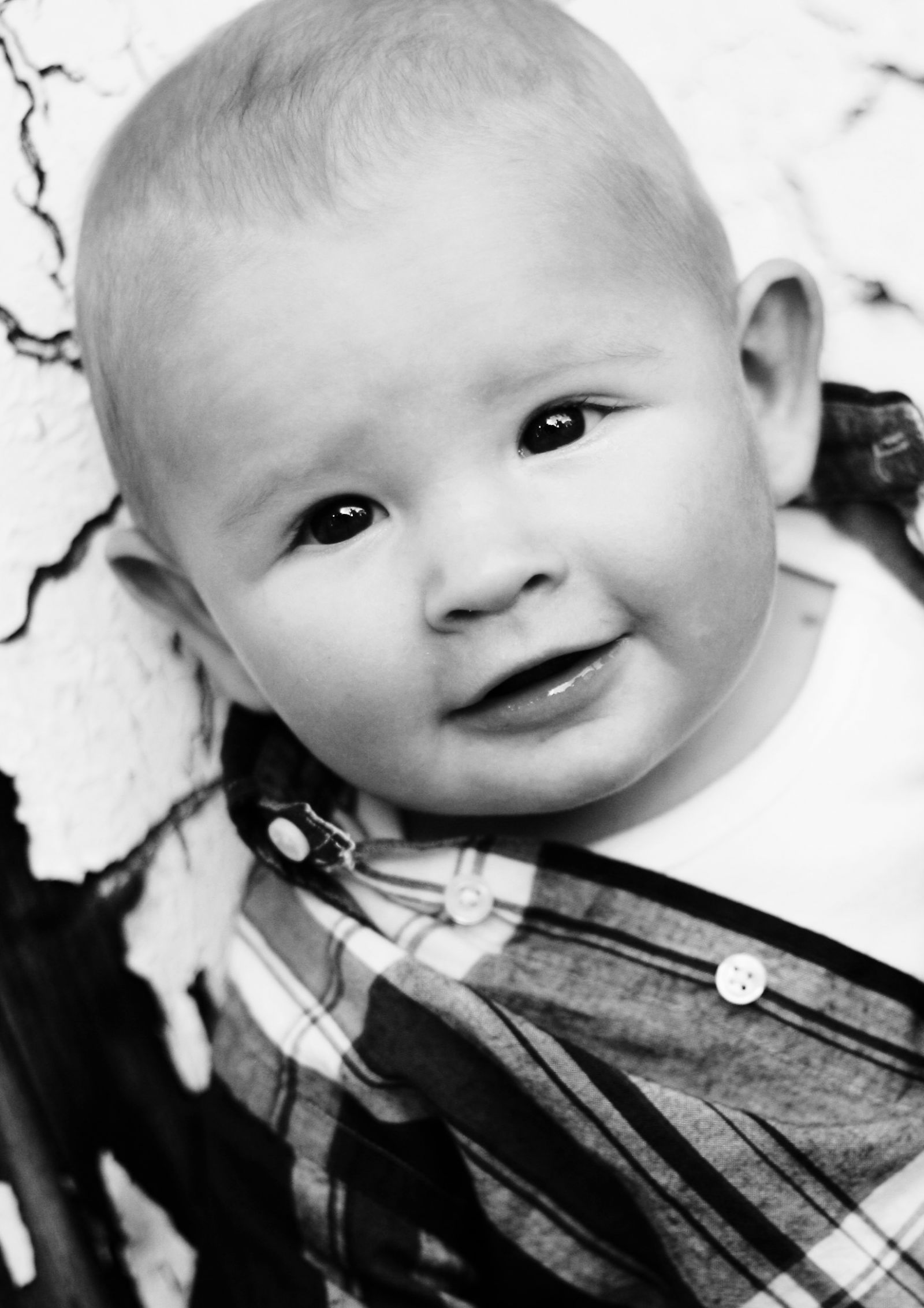 Baby Session